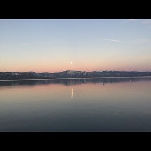 Meet your Posher, Oliver